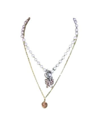 Paire de chaine BisC