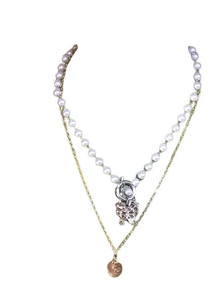 Paire de chaine BisC